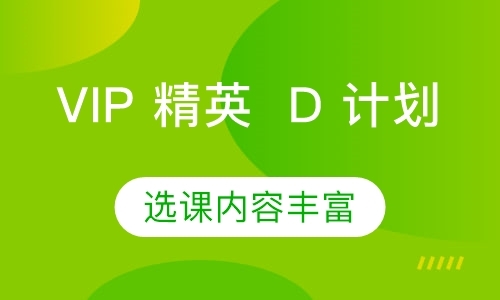 VIP 精英  D 计划【细致备考】