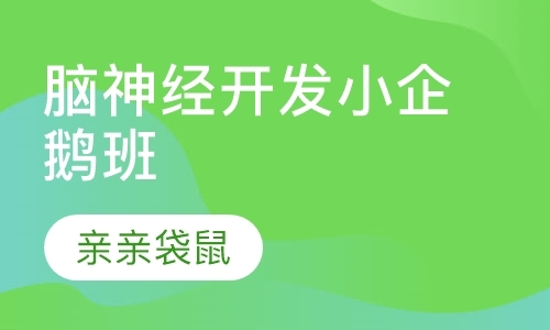 青岛右脑潜能开发训练