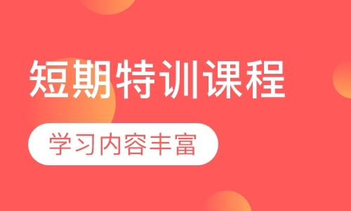 广州少儿武术学习