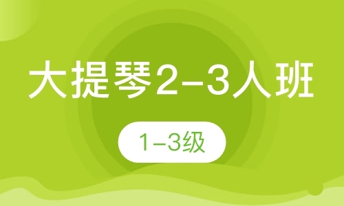 宁波大提琴2-3人班1-3级