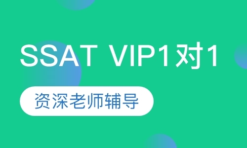 SSAT VIP1对1