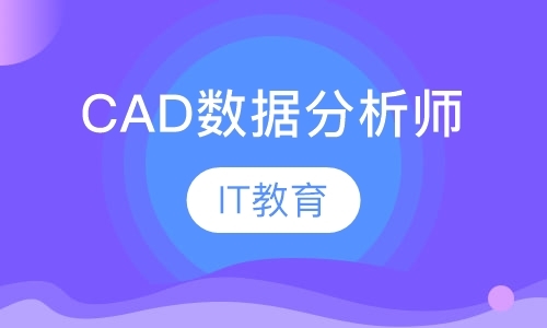 上海CAD数据分析师