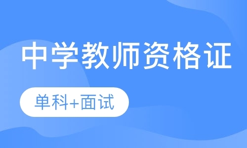 中学教师资格证笔试单科+面试 高端班B