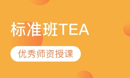 深圳标准班TEA