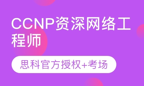 CCNP资深网络工程师