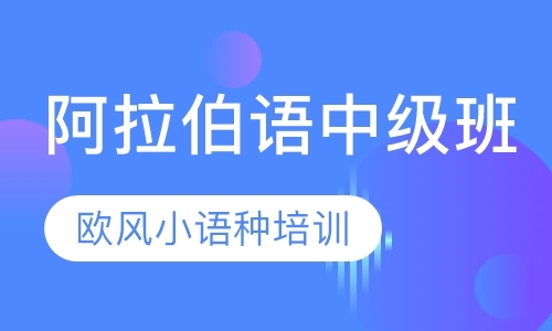 杭州阿拉伯语中级班