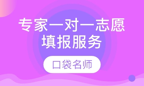 天津口袋名师志愿专家一对一志愿填报服务