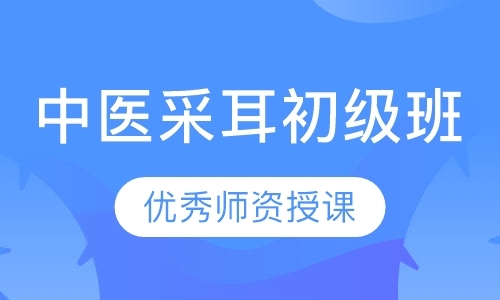 广州采耳培训初级班采耳培训可视采耳培训