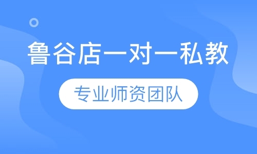 北京羽毛球青少年培训班