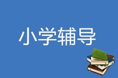 小学辅导