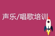 声乐/唱歌培训 声乐/唱歌培训