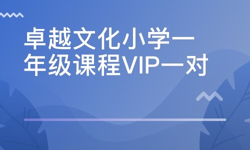 卓越文化小学一年级课程VIP一对一