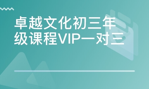 卓越文化初三年级课程VIP一对三