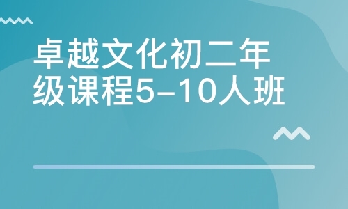 卓越文化初二年级课程5-10人班