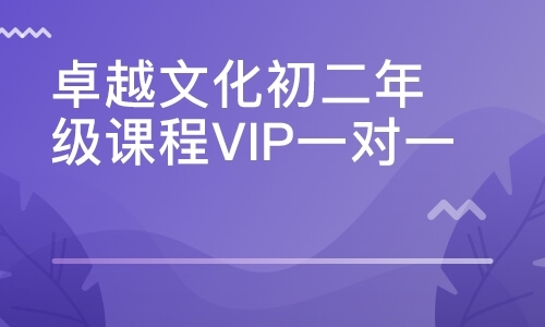 卓越文化初二年级课程VIP一对一