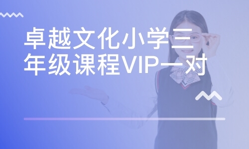 卓越文化小学三年级课程VIP一对三