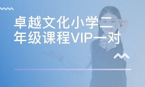 卓越文化小学二年级课程VIP一对三