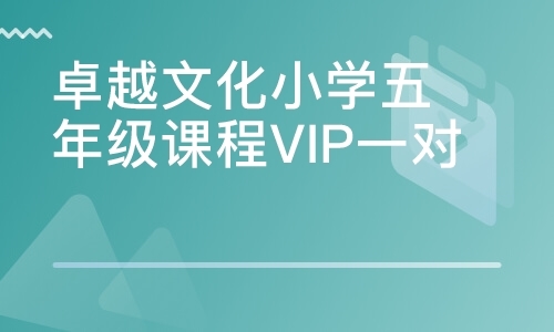 卓越文化小学五年级课程VIP一对一