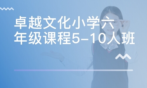 卓越文化小学六年级课程5-10人班