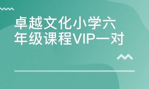 卓越文化小学六年级课程VIP一对一