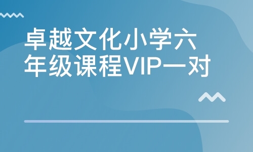 卓越文化小学六年级课程VIP一对三