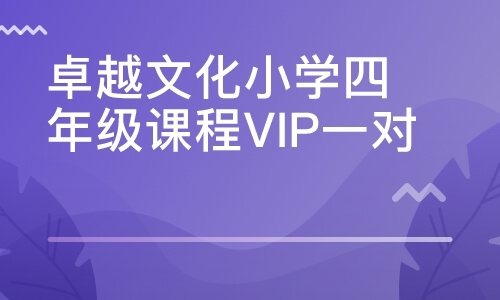 卓越文化小学四年级课程VIP一对一