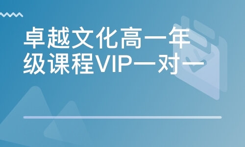 卓越文化高一年级课程VIP一对一