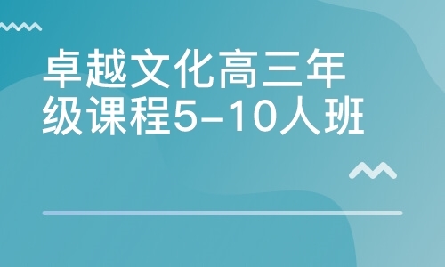 卓越文化高三年级课程5-10人班