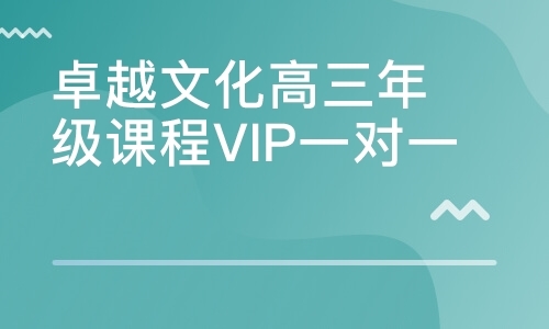 卓越文化高三年级课程VIP一对一