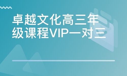 卓越文化高三年级课程VIP一对三