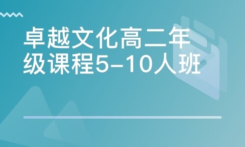 卓越文化高二年级课程5-10人班