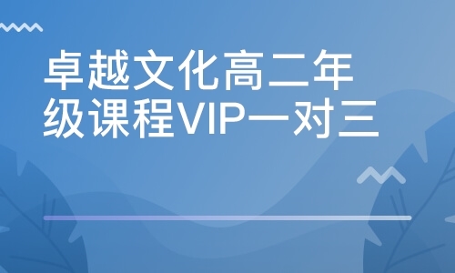 卓越文化高二年级课程VIP一对三