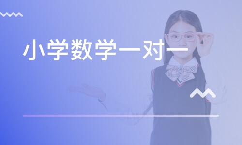 小学数学一对一