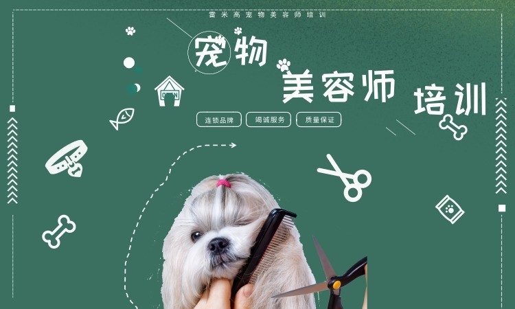 广州雷米高宠物美容师培训