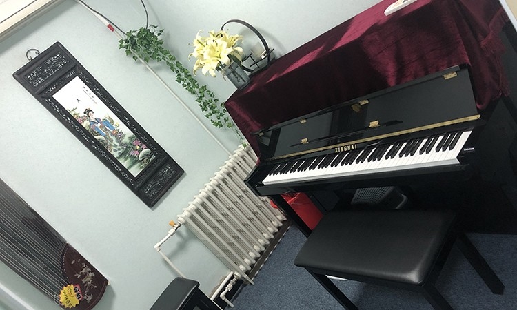 华艺古筝钢琴艺术中心-双桥校区