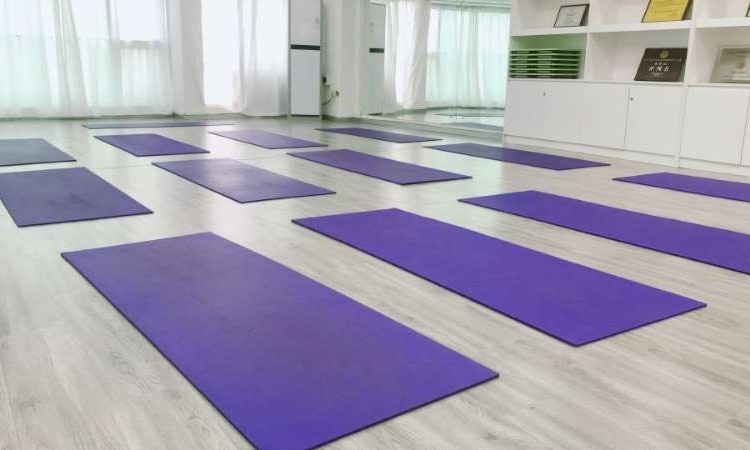 深圳市瑜伽协会考证中心