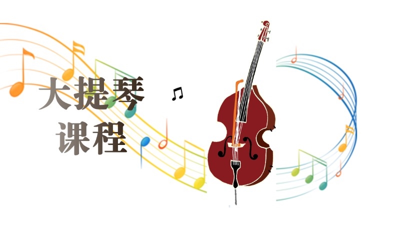 杭州成人大提琴培训机构