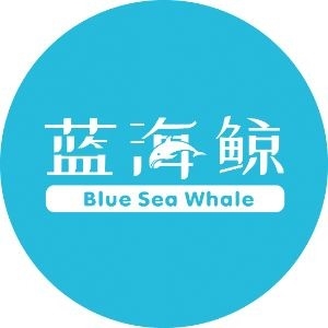 青岛蓝海鲸感统专注力训练